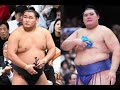 【大相撲】豊昇龍＆大の里の〝金星大量配給〟に先輩横綱が苦言「怖さを感じている力士が誰もいない」