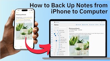 How to Backup Your iPhone Notes to PC