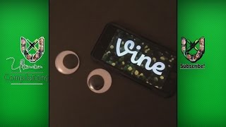 BEST End of Vine Compilation 2016