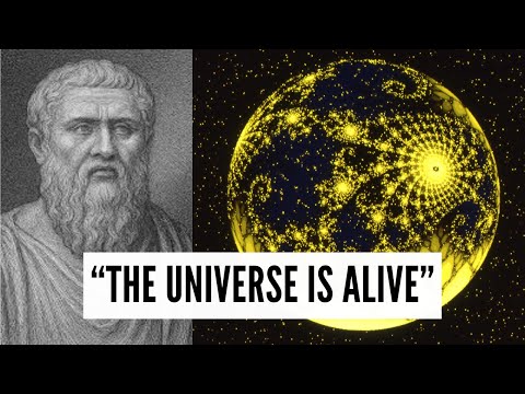 The Anima Mundi: Decoding the Universal Conscious Soul