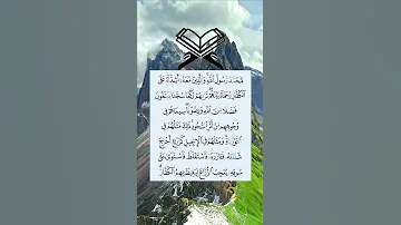 محمد رسول الله والذين معه اشداء على الكفار 