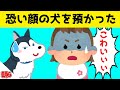 恐い顔をしたシベリアン・ハスキーを預かった結果www