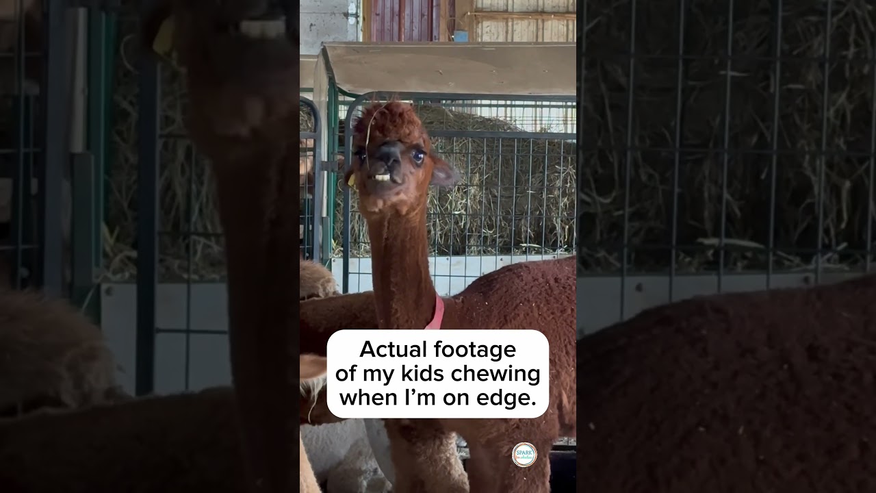 Can anyone else relate? I love them, but seriously!?! 