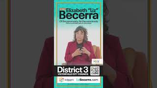 About District Voting