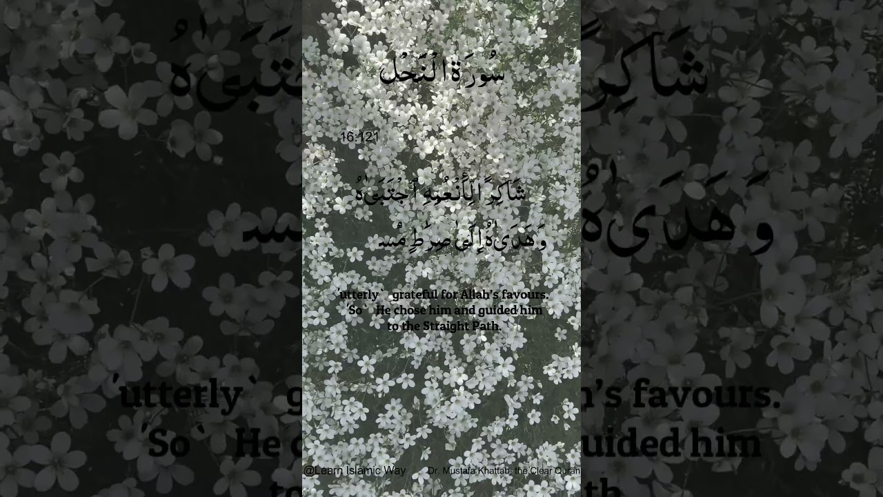Surah Al Nahl Ayat No 16 : 121 122 Arabic | سورۃ النحل With English Translation  #quran #allah #yts