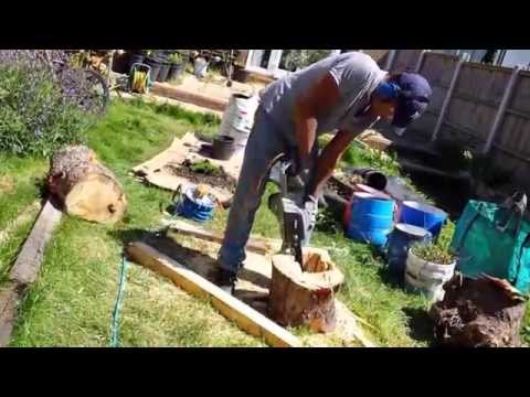 DIY planter from tree trunk