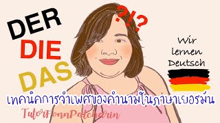 เทคนิคการจำเพศของคำนามในภาษาเยอรมัน DER DIE DAS | เรียนภาษาเยอรมัน🇩🇪 |TutorFonnPatcharin👩🏻‍🏫