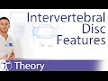 The Inter-Body Joint and the Intervertebral Disc | Lumbar Spine Series