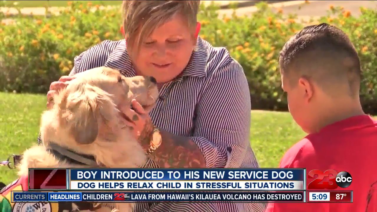 Is A Dog Good For A Child With Anxiety