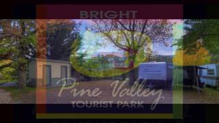 Bright Caravan Park Sites - Bright Pine Valley Tourist Caravan Park