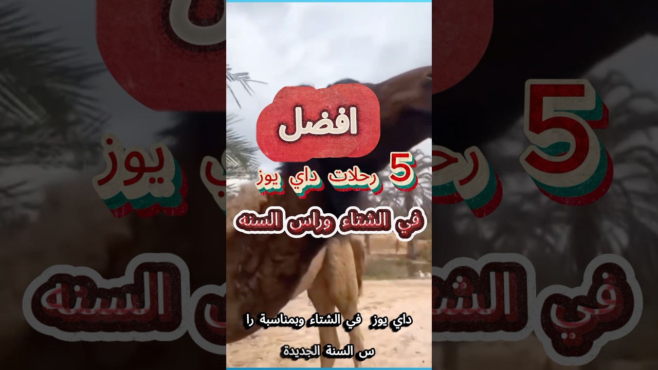 داي يوز أفريكانو بارك والإسكندرية | واحده من افضل رحلات يوم واحد في مصر #days #nader_fayez