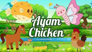 Lagu Anak Indonesia-Inggris | Ayam Chicken #education #laguanak #animation