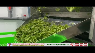 MÁY RỬA RAU MÁ DẠNG SỤC KHÍ, TÍCH HỢP OZONE NÂNG CAO HIỆU QUẢ