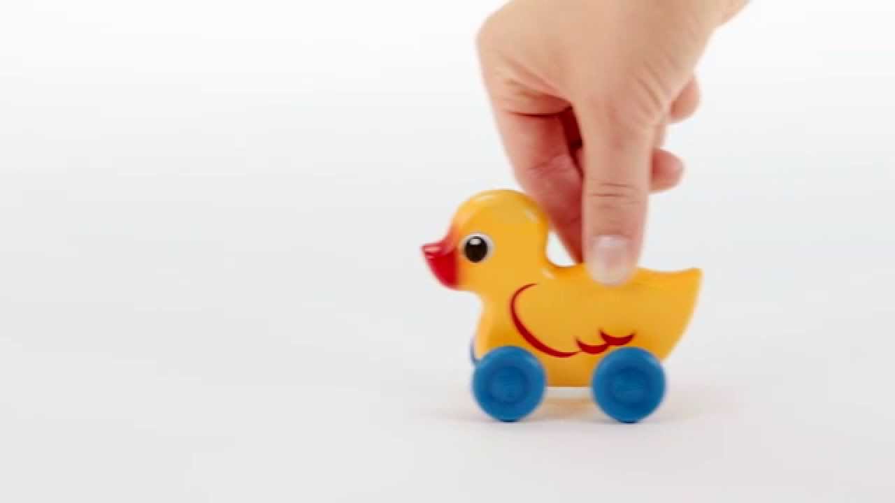 brio duck