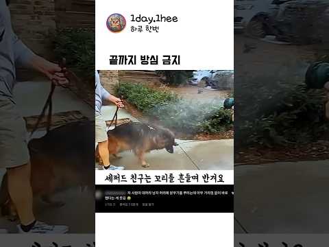 누구나 예상했지만 아무도 상상 못한 충격적인 결말 thumbnail