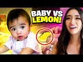 Baby vs Lemon *Cutest Reaction Ever*