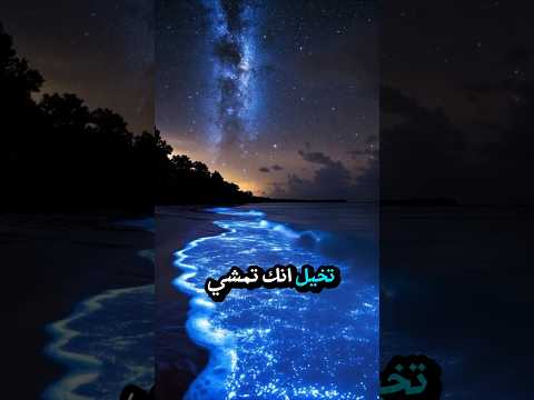 البحار المتوهجة سر الضوء الأزرق في الشواطئ