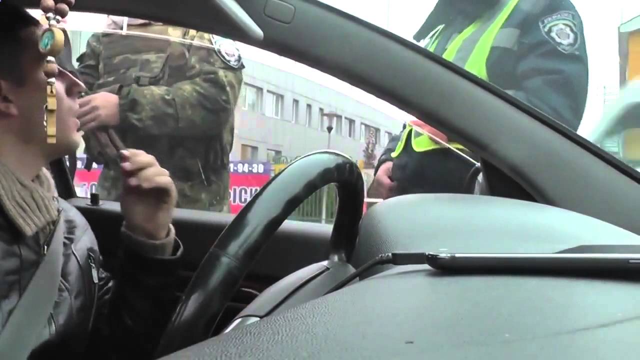 Кое-что об изоляции: в Крыму стартовал форум друзей Крыма картинки Кое-что об изоляции: в Крыму стартовал форум друзей Крыма картинки