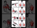 Ultimate Upper Body Workout 💪 Chest, Triceps & Back Exercises YouTube short video best exercise 👿