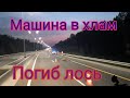 Проблемы на разгрузках, много возвратов. ДТП с лосём на ЦКАД.