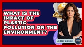What Is The Impact Of Plastic Pollution On The Environment - All About Capitalism