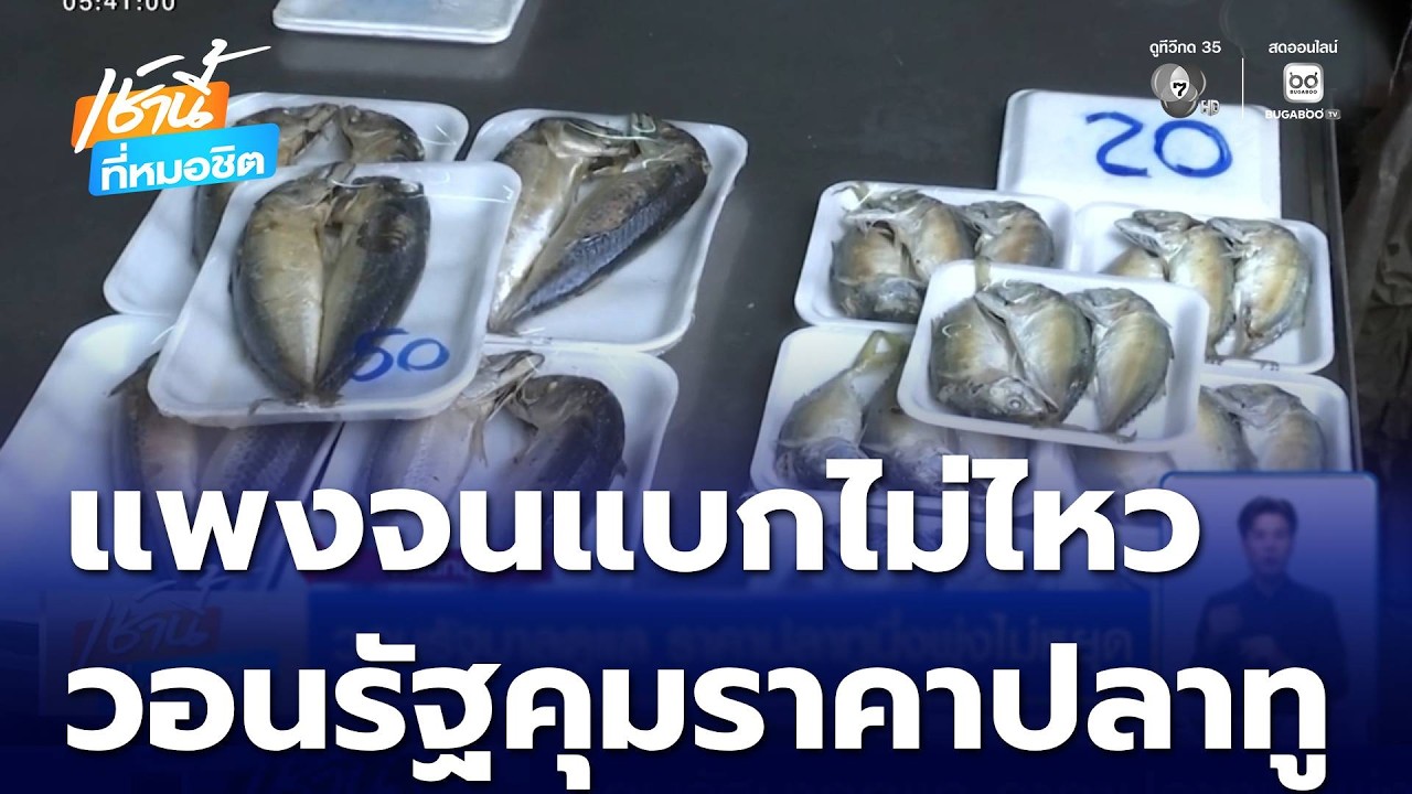 วอนรัฐบาลดูแล ราคาปลาทูนึ่งพุ่งไม่หยุด แพงสุดในรอบหลายสิบปี | เช้านี้ที่หมอชิต