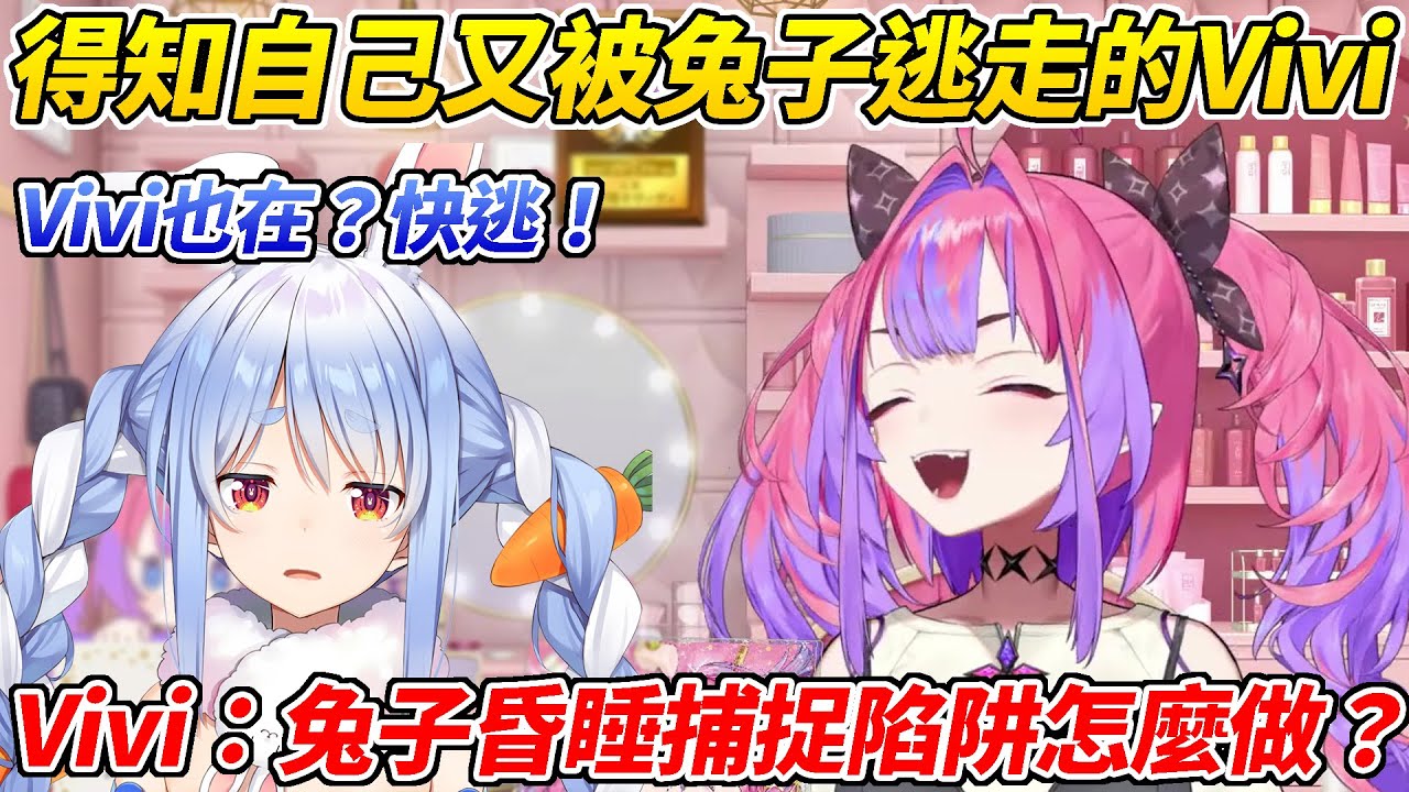 Vivi得知自己又一次在工作室被族長光速回家逃走於是動起了歪腦經ww【兔田佩可拉/綺綺羅羅Vivi/不知火芙蕾雅】【HOLOLIVE中文】