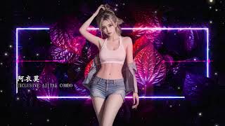 Ajitai Combination Electro  Rmx  Mixing   Dj