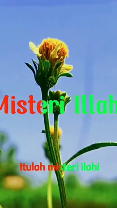 misteri ilahi #storywa #misteri #tahunbaru2023