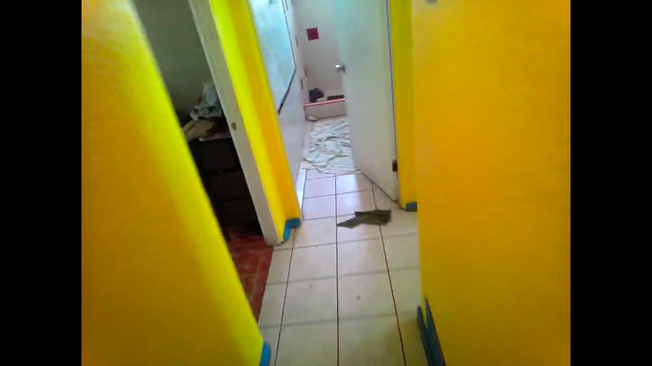 Painting part3. #painting #maintenance 