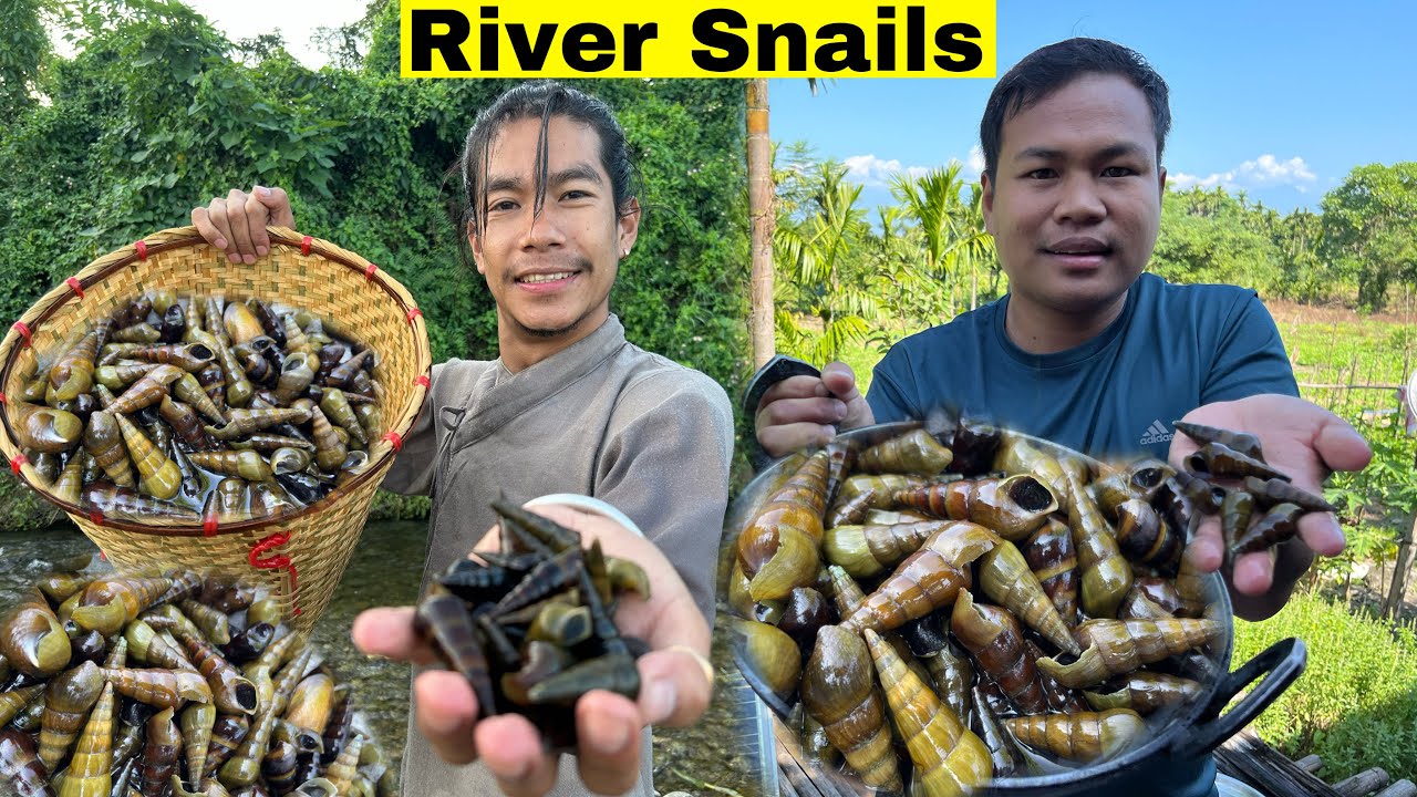 Collecting River Snails with monudeori. in the Evening River Snails