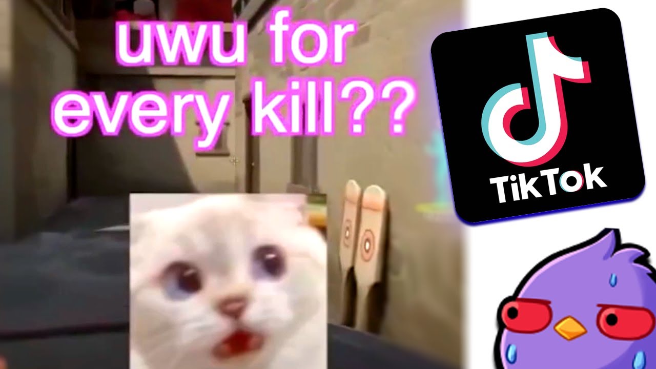 Watching Valorant's CRINGIEST TIKTOKS... (Instant Regret)