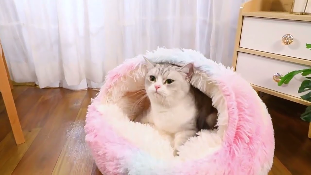 ultimate soft and warm dog bed cat cave