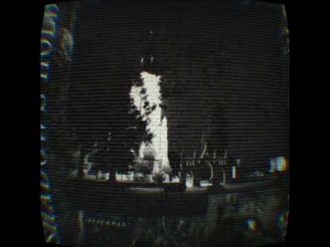 Shadows Hold Visceral 