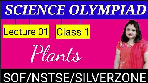 Science Olympiad | Class 1 | Plants 01
