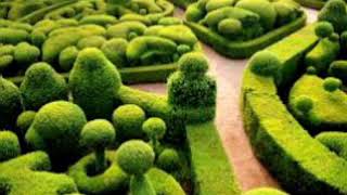 Rajesh Roshan best music