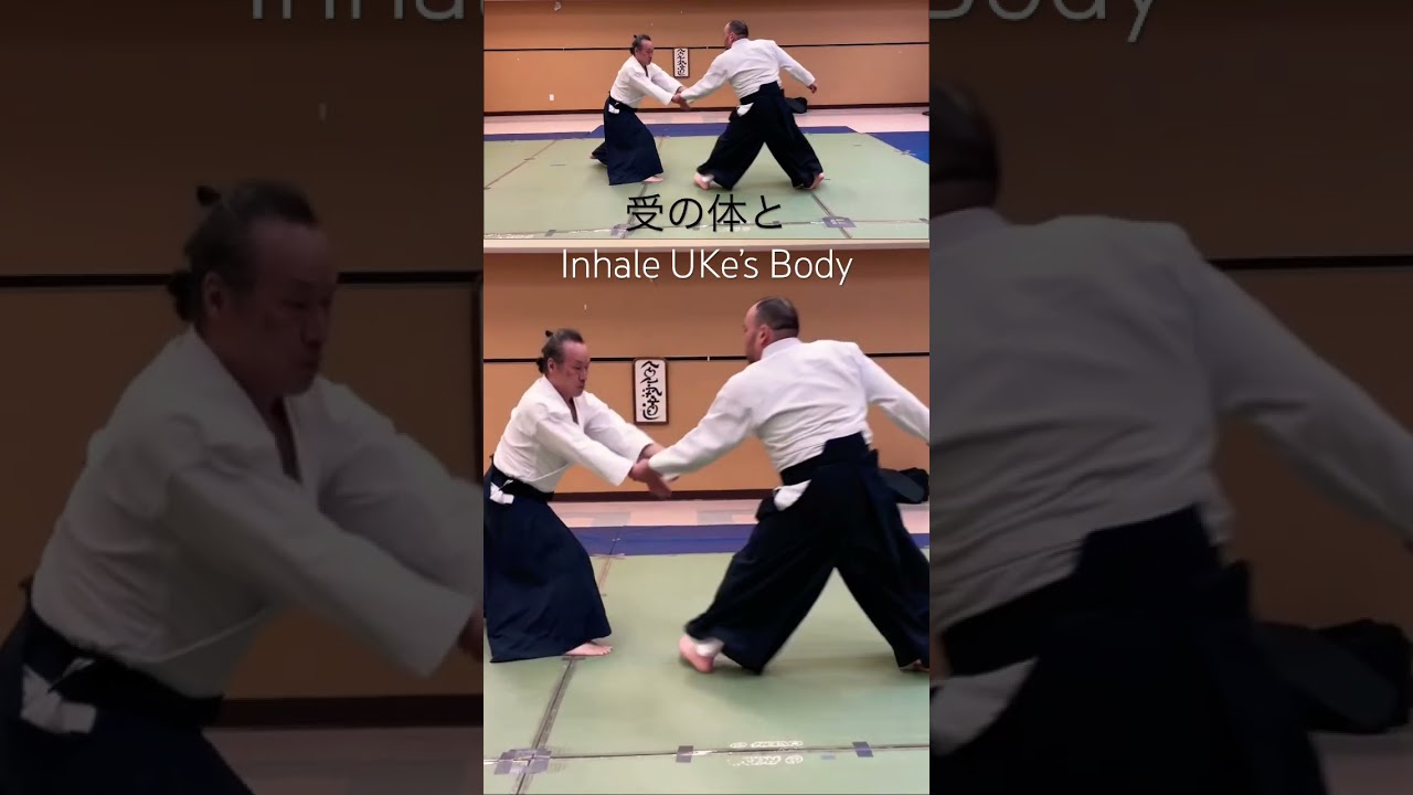 WOW!合氣 | すいこむ : Inhale | 合氣の原理 How Aiki Works : 片手取り四方投げ KatateDori ShihoNage 