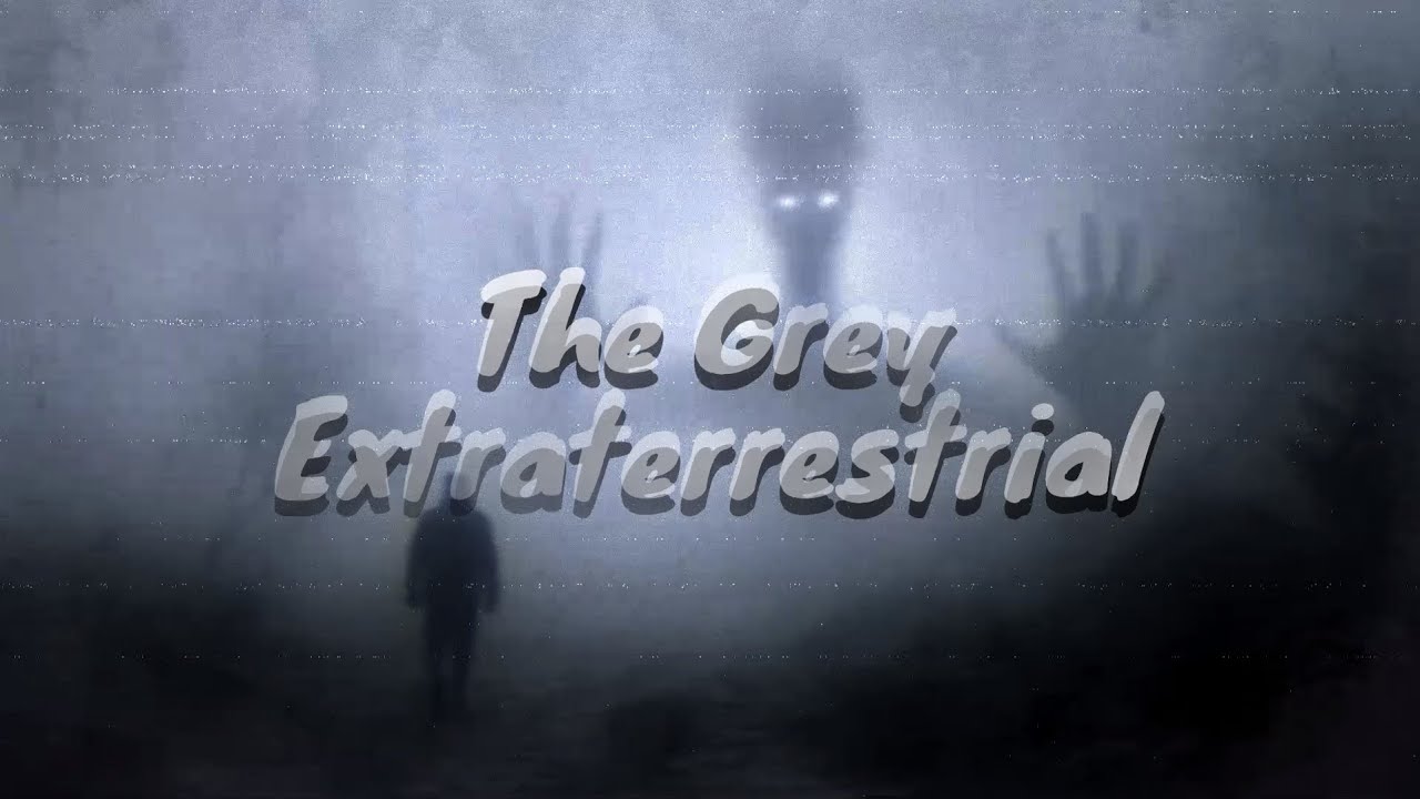The Grey Extraterrestrial (with subtitles)