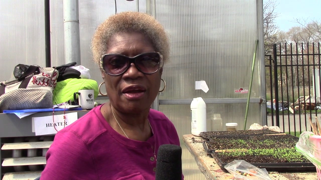 EarthWorks Urban Farm: Detroit Study Case