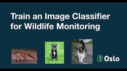Train an Image Classification Model with oslo.vision