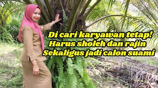 PNS Cantik Mencari Karyawan Tetap Sekaligus Calon Suami !