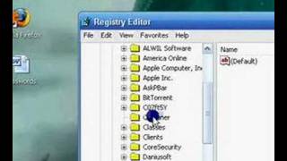 Celebrity Useful Windows XP Tips and Tricks Net Worth