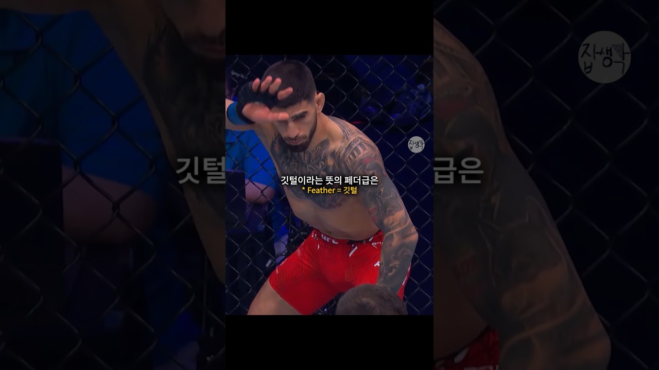 65kg가 깃털(페더), 70kg가 가볍다(라이트)? 이상한 UFC의 체급 시스템