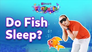 Do Fish Sleep? | BYJU'S Fun Facts