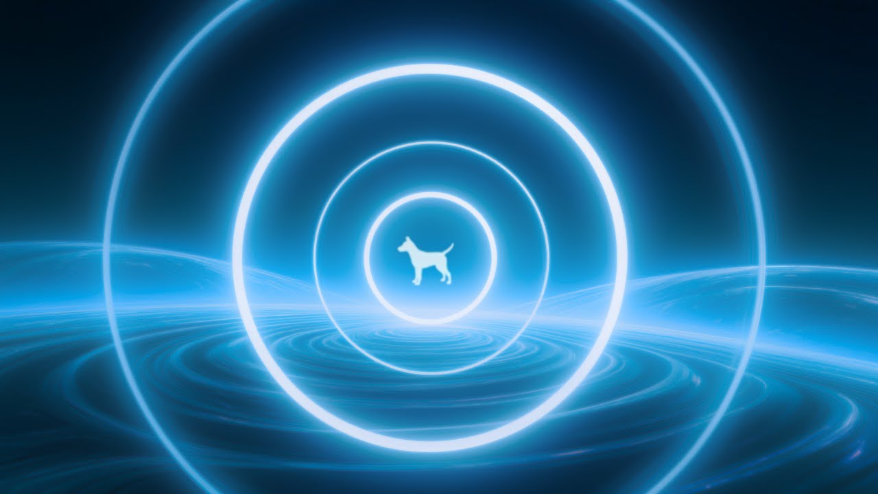 Night Trauma Relief for Dogs – 396 Hz Deep Healing Waves (8 Hours)