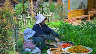 Hidup Di Desa  Petik Kangkung  Masak Sederhana Dan Lezat 