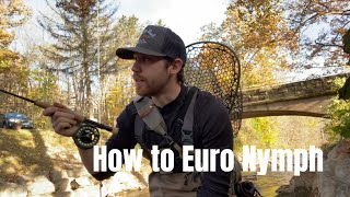 Euro Nymphing: How to Euro Nymph for trout (My Favorite tactics)