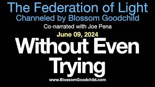 WITHOUT EVEN TRYING | Blossom Goodchild channeling the Federation of Light   06 09 24