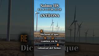 Salmo 118 - ANTÍFONA: "Dichoso el que camina, en la voluntad del Señor".