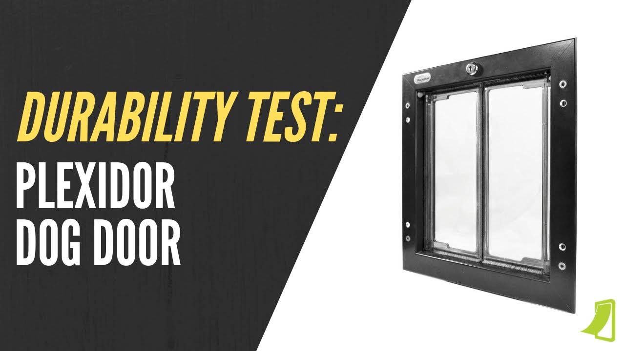 Durability Test & Review Plexidor Dog Door YouTube